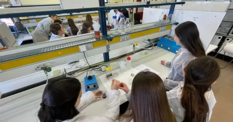 Tallers de coloració de la fruita i elaboració de pasta fresca pels alumnes de BAT 1 al Campus d'ETSEA de la UdL