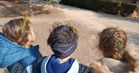 Alumnes de 1r de primària en una sessió de bosc del projecte Claver Ntura al bosc de l'escola