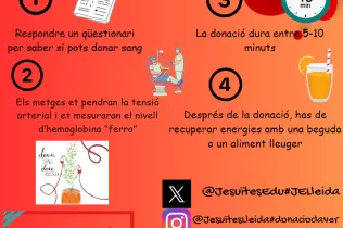 Infografia sobre la donació de sang feta pels alumnes de 5è de Primària-NEI de Jesuïtes Lleida en el marc del projecte "Ho Portem a la Sang"
