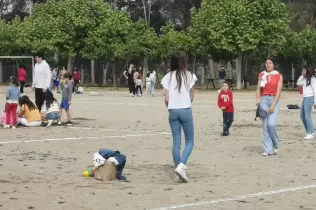 Cadena de favors, un projecte de pastoral sota el lema de les línies de força "Viure per amor. De Déu per als altres".