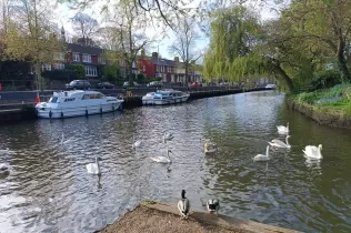 Alumnes de 4t ESO-TQE participants de l'inrercanvi de llengua anglesa a Norwich