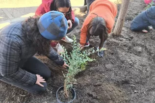 Sembrando conciencia verde