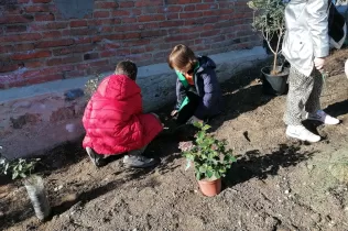 Sembrando conciencia verde