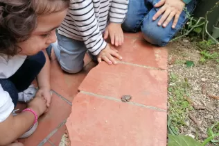 Sembrando conciencia verde