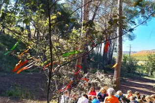 Jornada d'escola bosc d'alumnes de la PIN en el marc del projecte Claver Natura