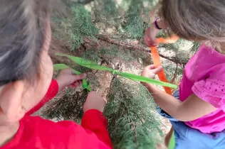 Jornada d'escola bosc d'alumnes de la PIN en el marc del projecte Claver Natura