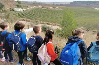 Alumnes de primària en una sessió d'escola bosc de Claver Natura