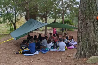 Alumnes de 3r de primària en una sessió d'escola bosc de Claver Natura en un dia de pluja