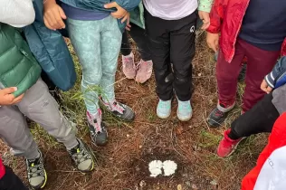 Alumnes de 3r de primària en una sessió d'escola bosc de Claver Natura en un dia de pluja