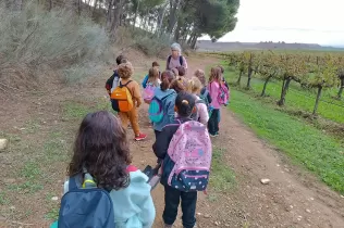 Alumnes de 1r de primària de camí al bosc del Claver vorejant les vinyes de Raimat en una sessió d'escola bosc de Claver Natura