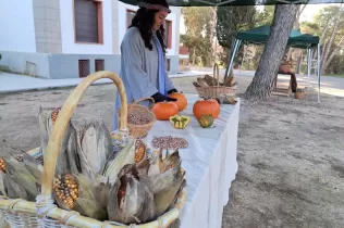 Escena del Pessebre Vivent al bosc del Claver, en la seva primera edició el 15 de desembre de 2024