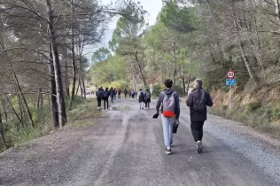 TQE Montserrat-Manresa