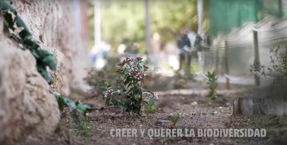 Sembrando conciencia verde